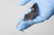 Cancer Research Ultrasound Systems Introduced at AACR